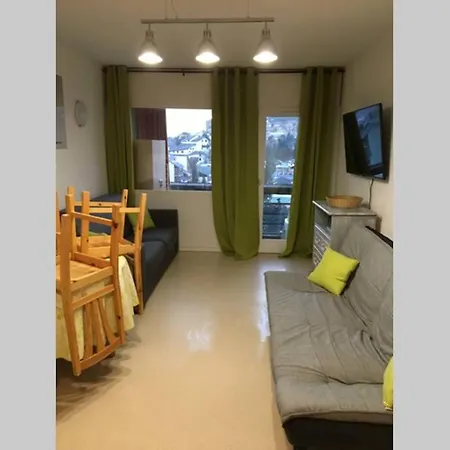 Superbe Au Pied Des Pistes 25m2