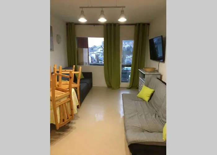 Superbe Au Pied Des Pistes 25m2