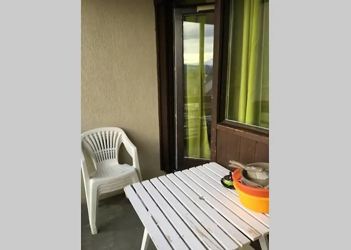 Superbe Au Pied Des Pistes 25m2